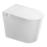 Siphon-type Instant Heating Smart Toilet
