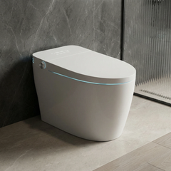 Voice-controlled Foam Shield Smart Toilet