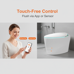 Thermostatic Heated Smart Toilet