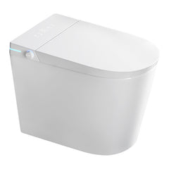 Siphon-type Instant Heating Smart Toilet