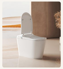 Smart Toilet For Women