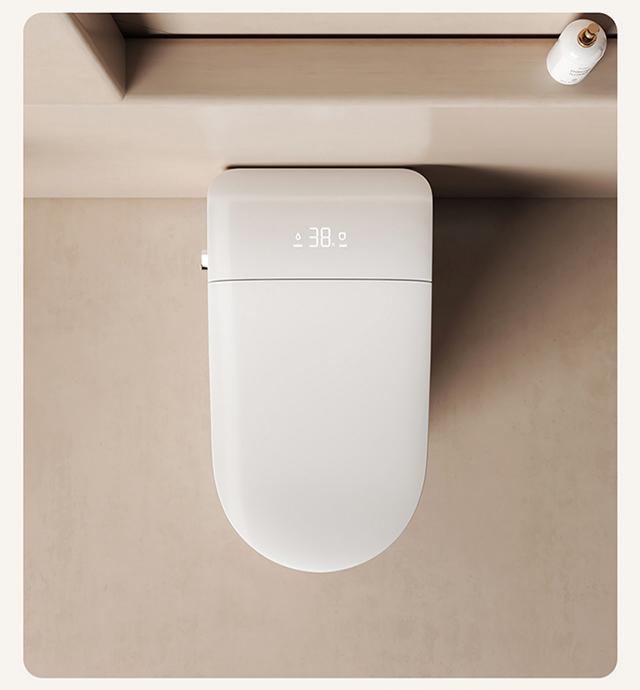 Smart Toilet For Women