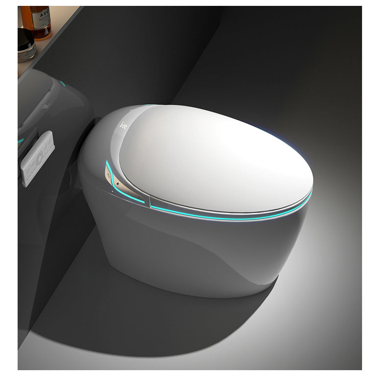 Thermostatic Heated Smart Toilet