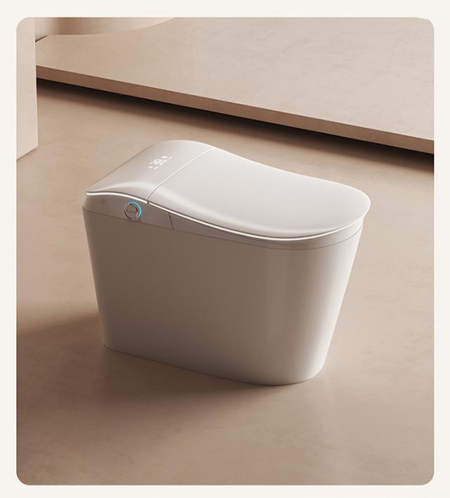 Smart Toilet For Women