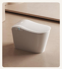 Smart Toilet For Women