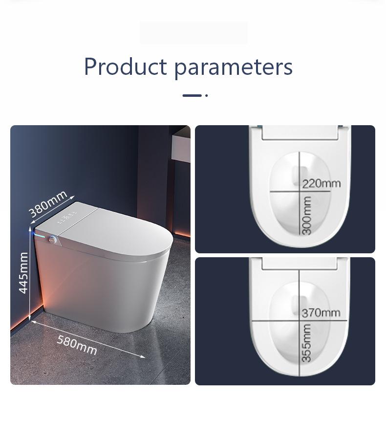 Siphon-type Instant Heating Smart Toilet