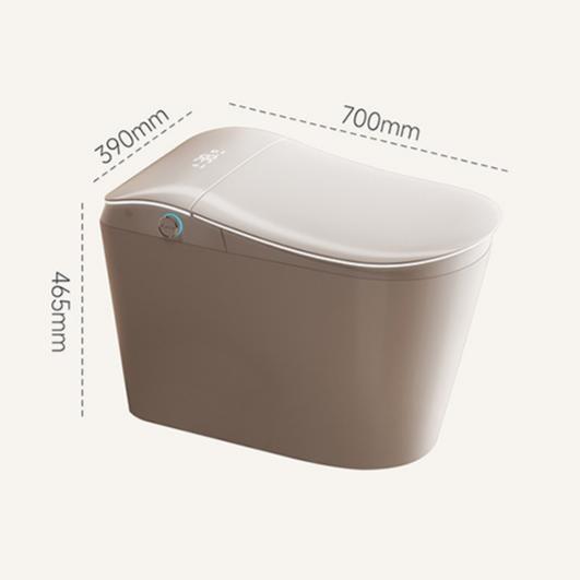 Smart Toilet For Women