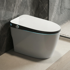 Voice-controlled Foam Shield Smart Toilet